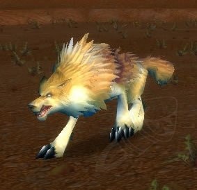 Feral Crag Coyote - NPC - Classic World of Warcraft