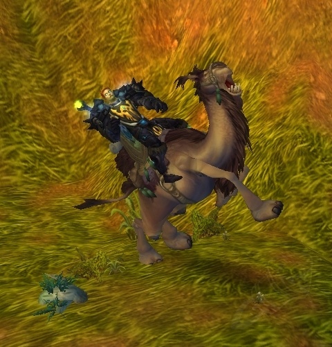 Brown Riding Camel - PNG - [Mists of Pandaria Classic]