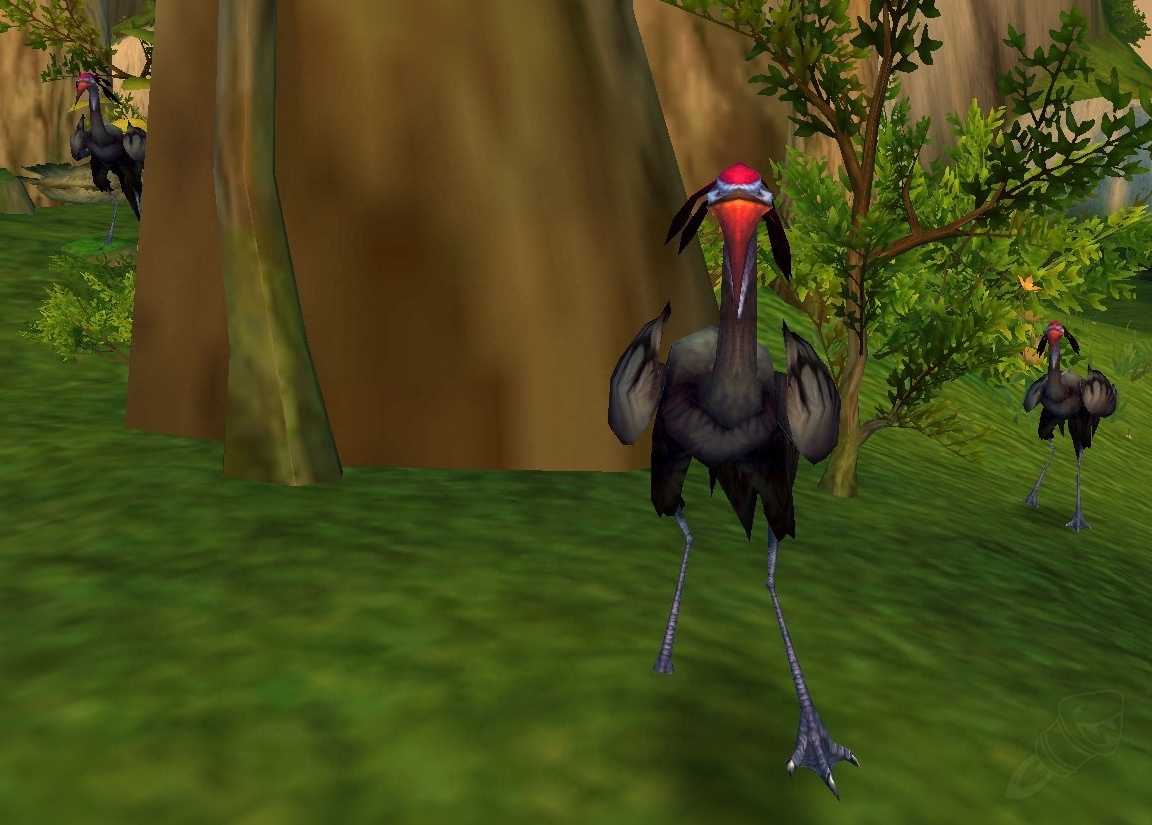 [Windfeather Chick] - PNJ - [Mists of Pandaria Classic]