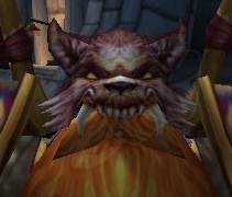 Almófar de elementos místico - Objeto - [Mists of Pandaria Classic]