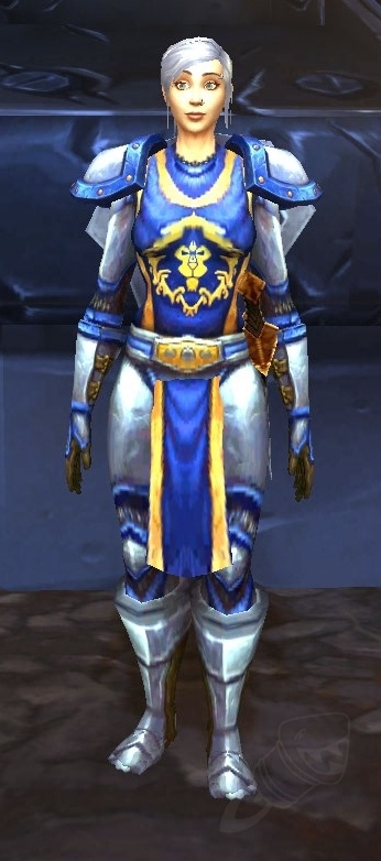 Stormshield Guard - NPC - World of Warcraft