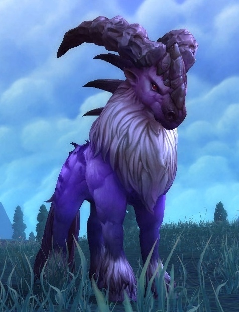 Maa’run - PNJ - World of Warcraft