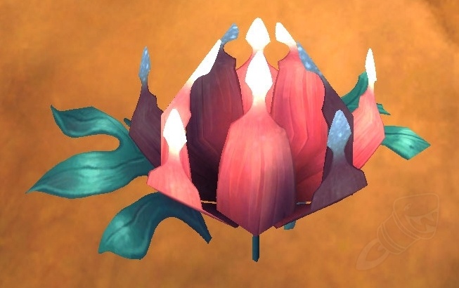 Mysterious Flower Item World Of Warcraft