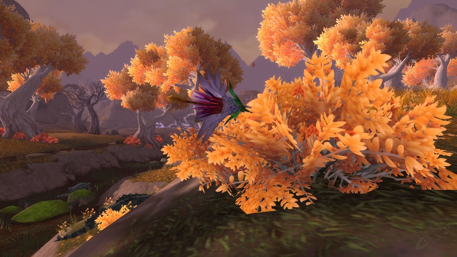 Eternal Blossom Object World of Warcraft