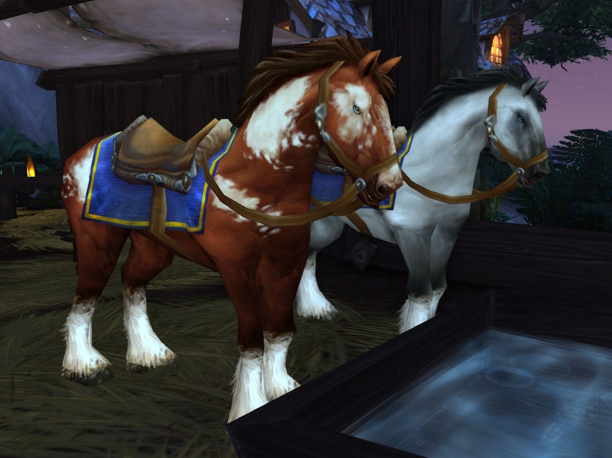 Horse NPC World of Warcraft