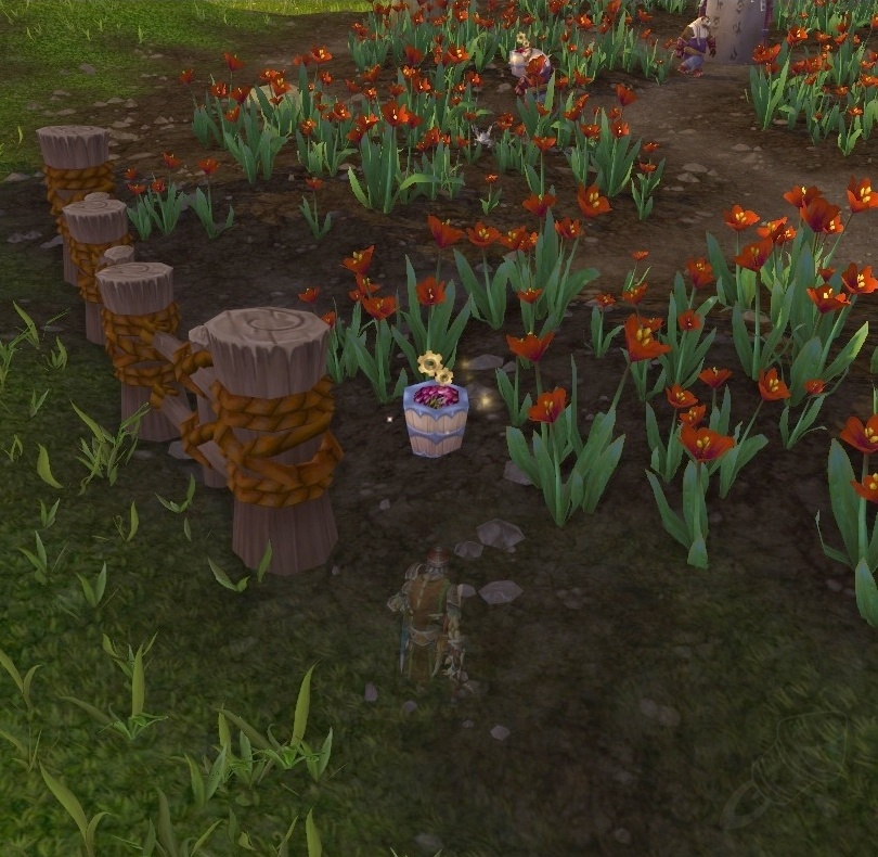 Where Silk Comes From Quest World of Warcraft