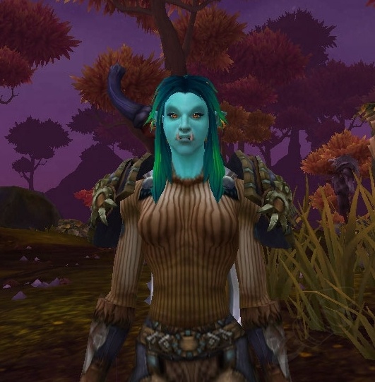 Scraggly Cloth Vest Item World of Warcraft