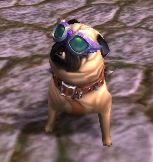  Lil Starlet Costume Item World Of Warcraft