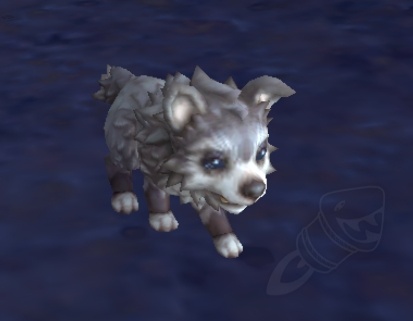 Cucciolo Di Lupo Bianco Png World Of Warcraft