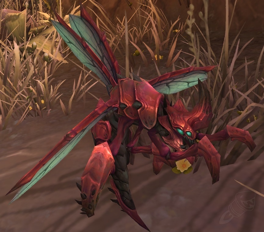 варкрафт циркуль 3. 3 5. 5 a обсидиановое святилище. вов 3. поводья силитид-осы.