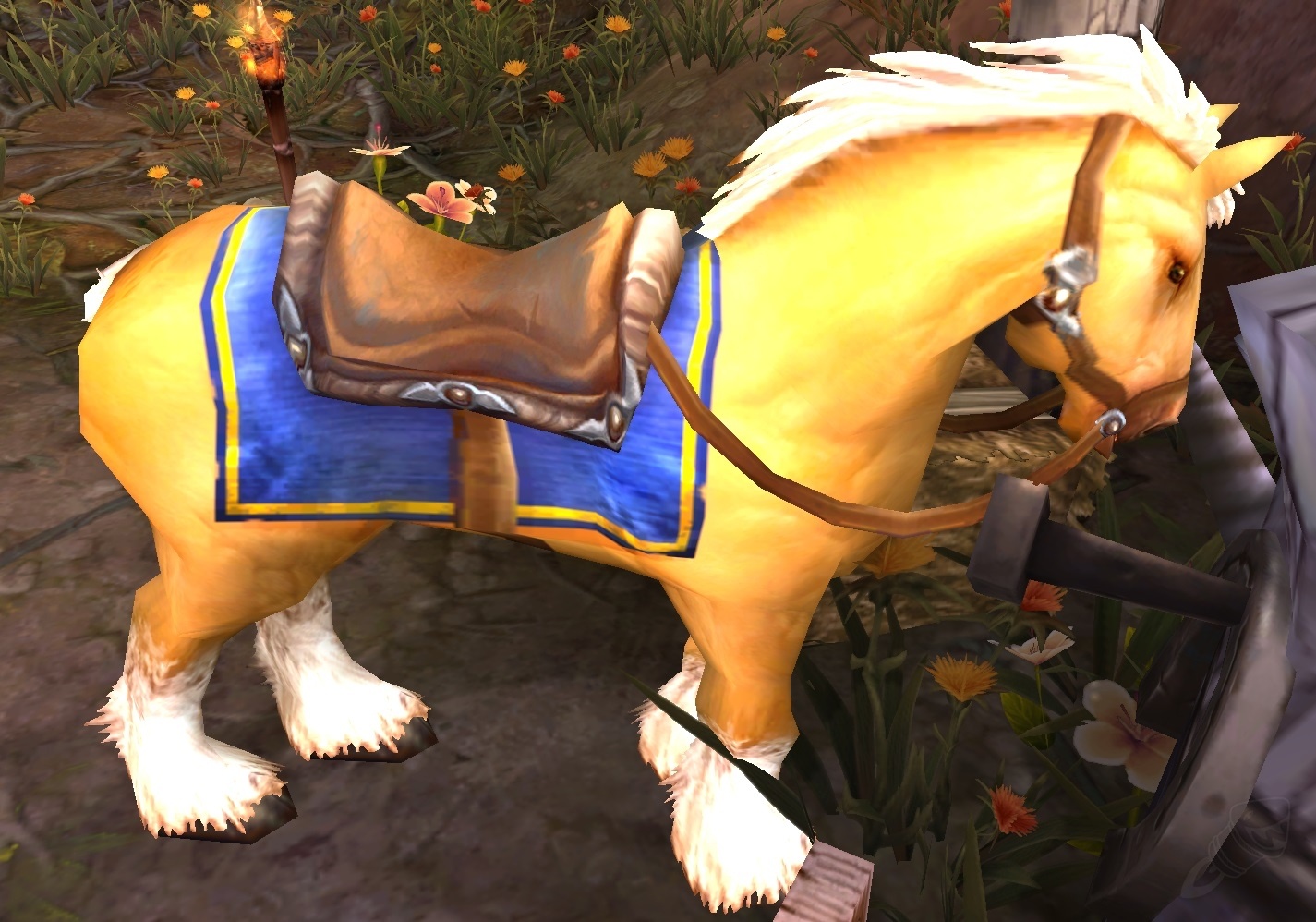 Riding Horse NPC World of Warcraft