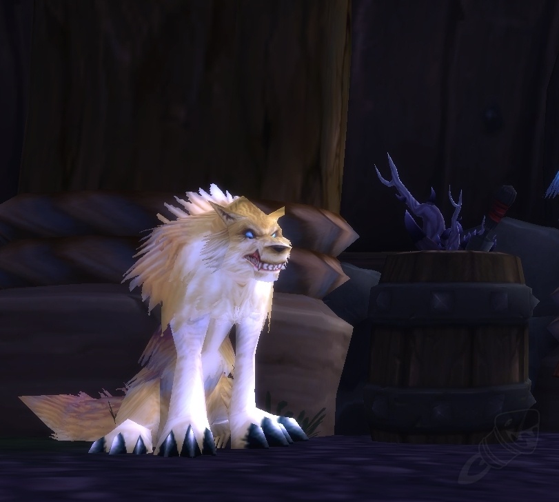 Perro PNJ World of Warcraft