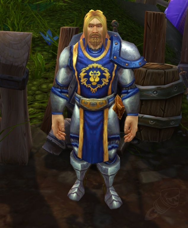 Stormshield Guard - NPC - World of Warcraft