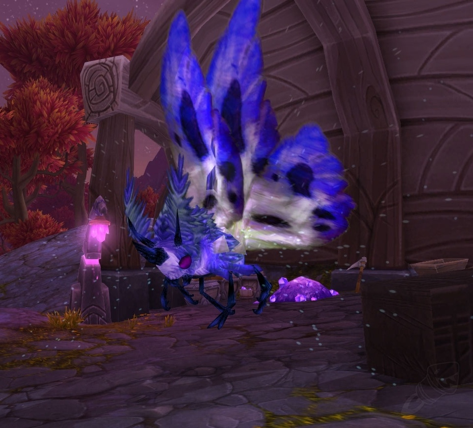 Lord Of The Frenzied Flame Questline Frenzied Manafeeders - Quest - World of Warcraft