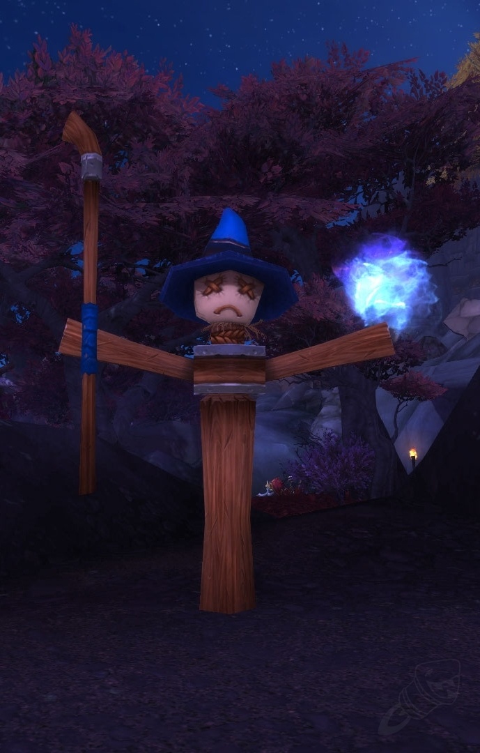 Raider's Training Dummy NPC World of Warcraft