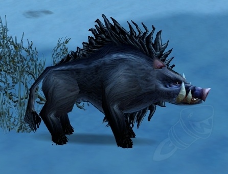 Cinghiale Piccolo Delle Rupi Png World Of Warcraft