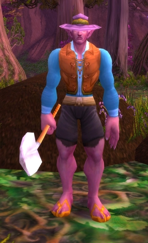 Jenal NPC World of Warcraft