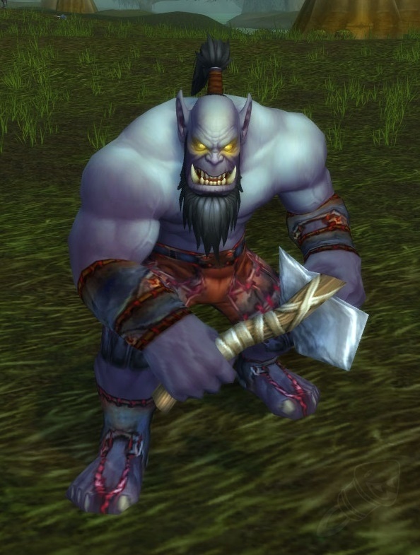 Voleur de gueulededragon PNJ World of Warcraft