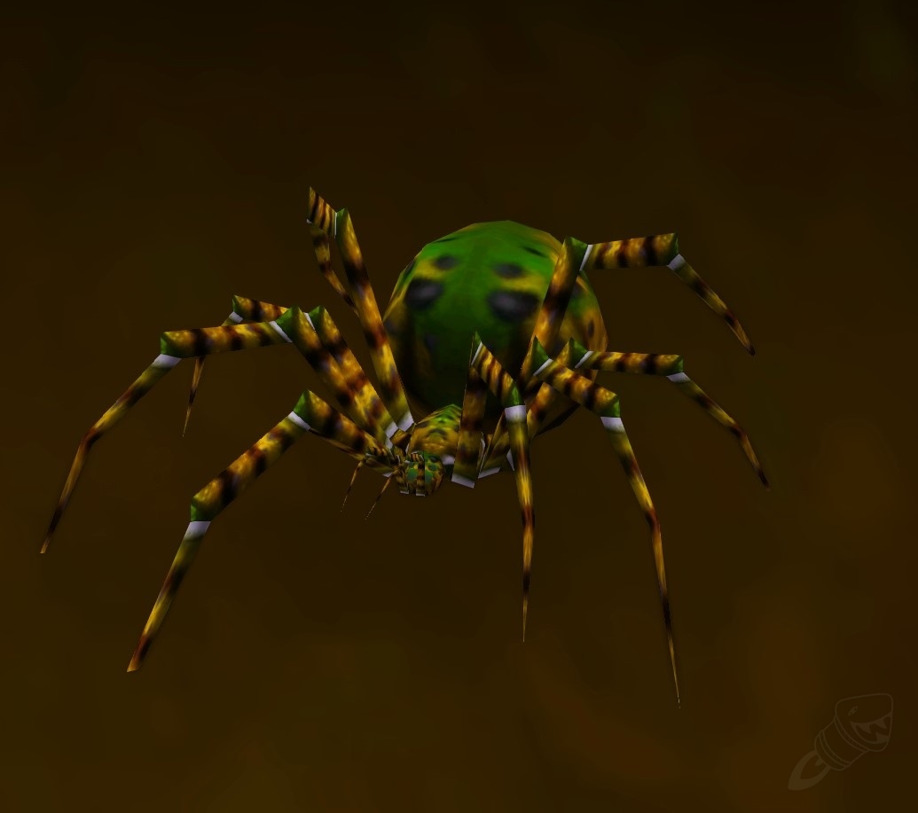 Spider NPC World of Warcraft