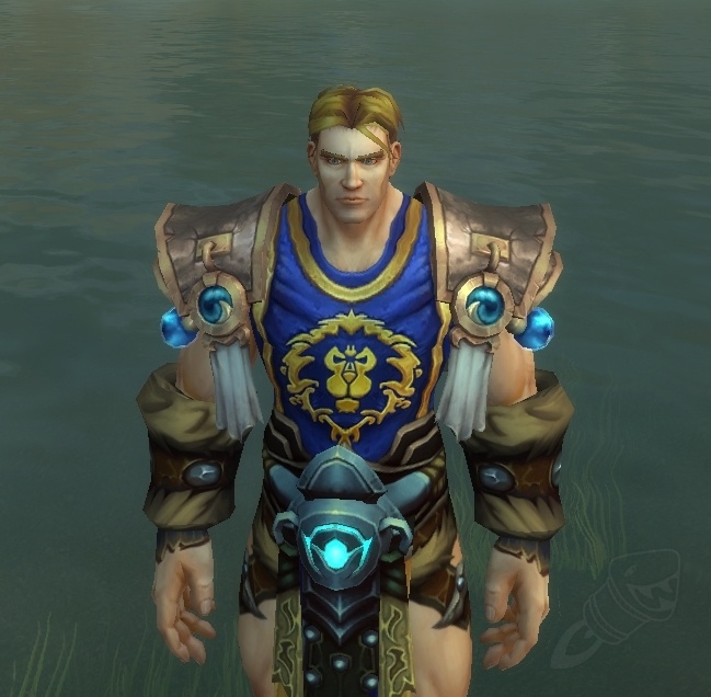 Wild Gladiator's Ironskin Spaulders Item World of Warcraft