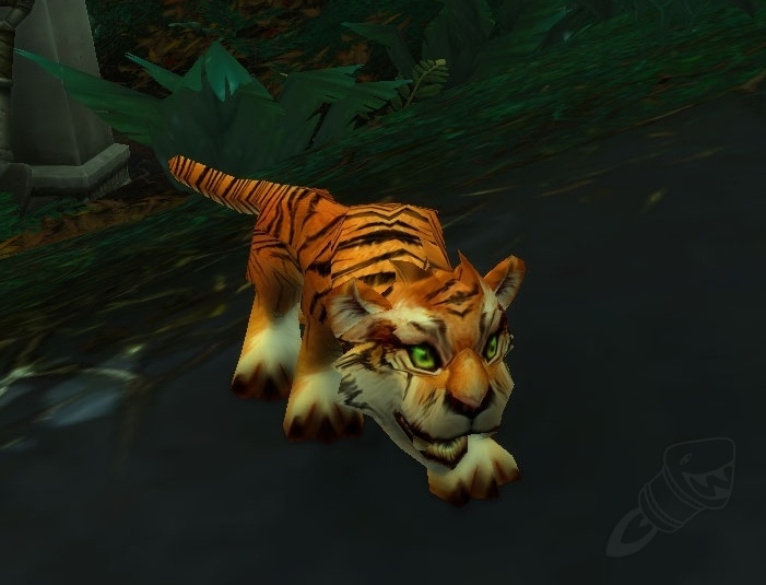 Wildes Tigerjunges Wildes Tigerjunges