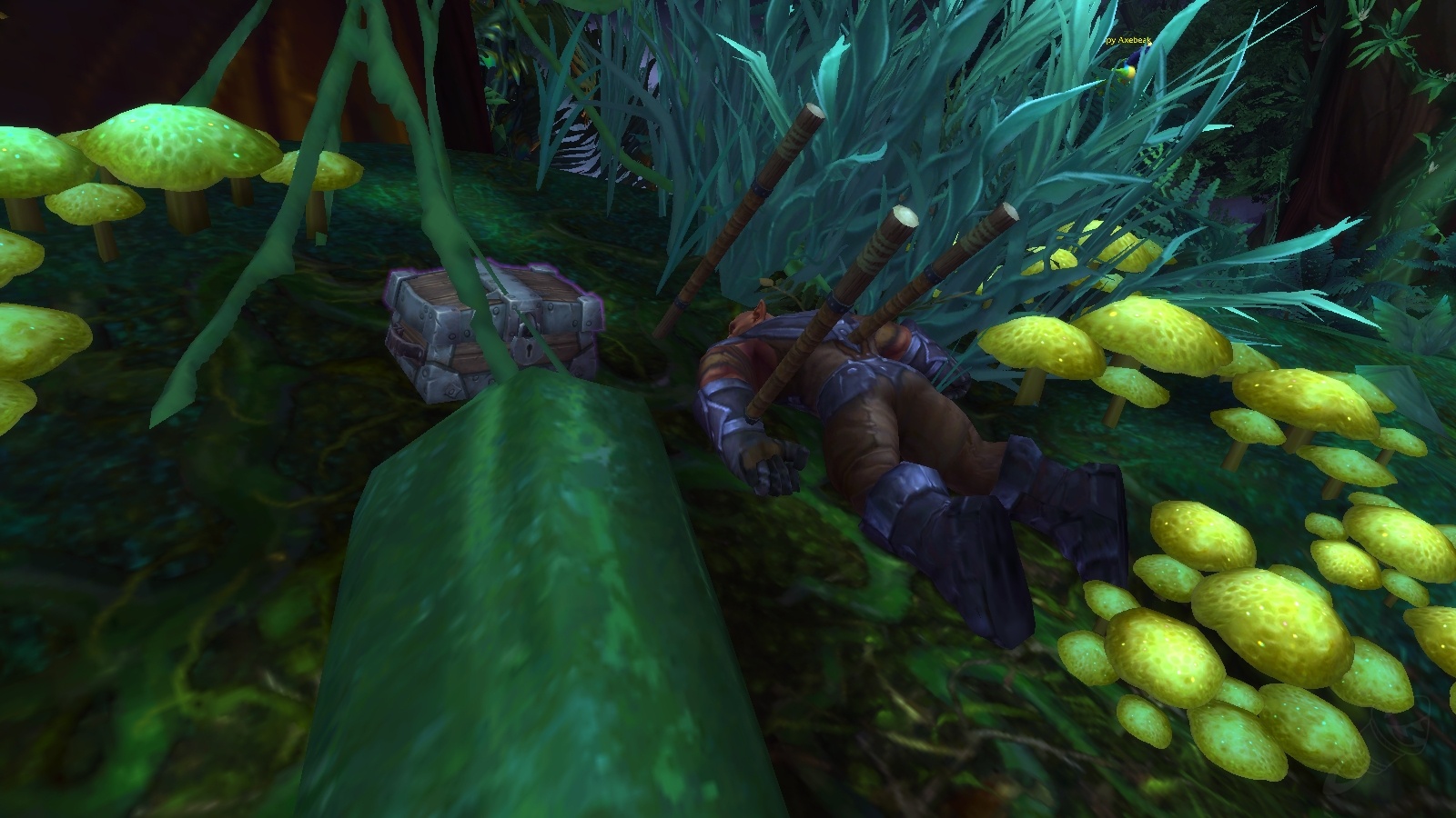 Treasure Stolen Captain's Chest Quest World of Warcraft