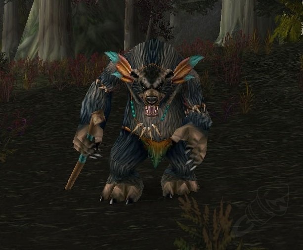 Blackwood Totemic NPC World of Warcraft