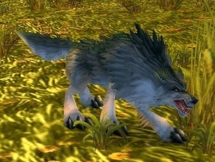 Lobo Sarnento - PNJ - WotLK Classic