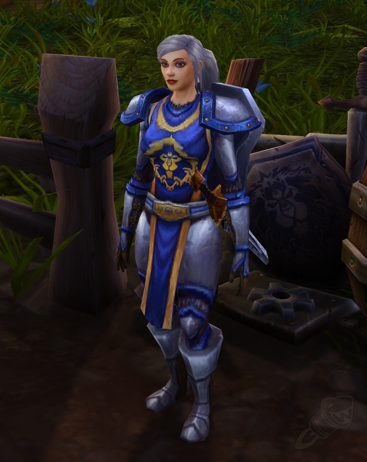 Stormshield Guard - NPC - World of Warcraft