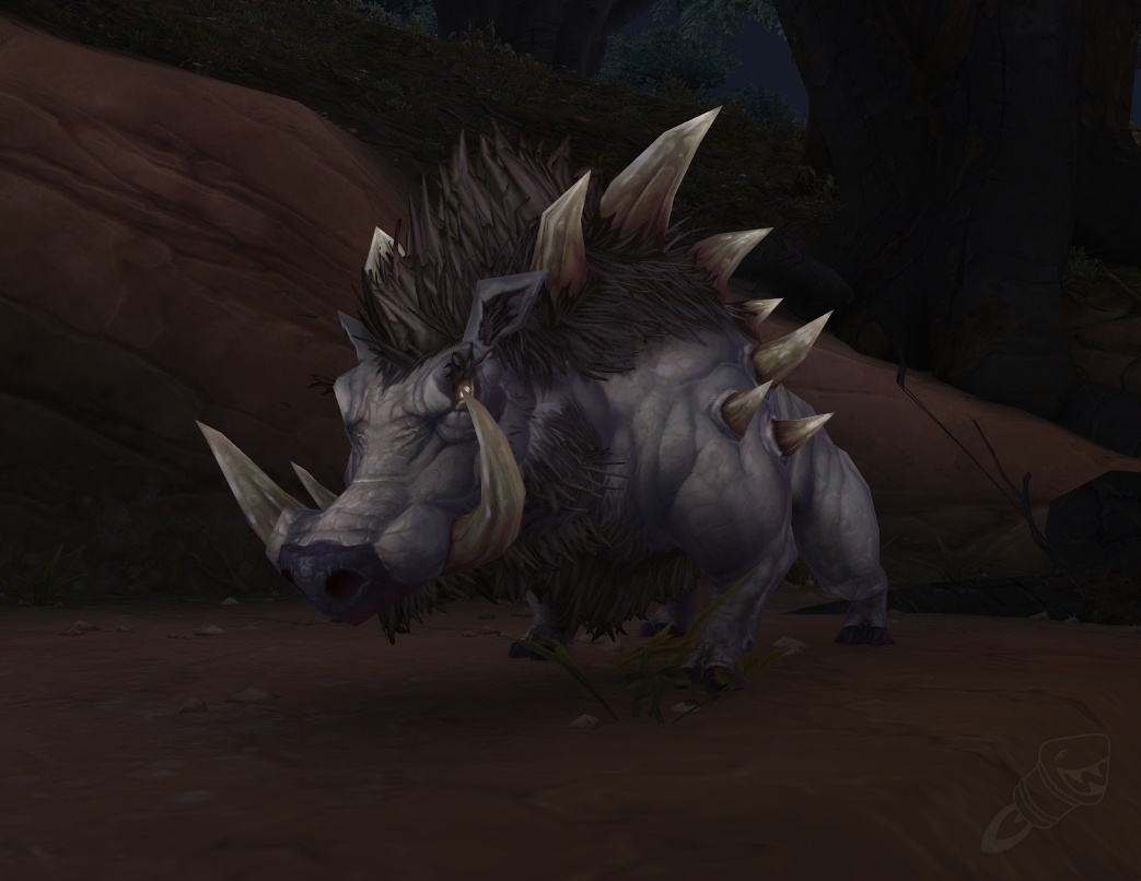 Razorback Sow NPC World of Warcraft