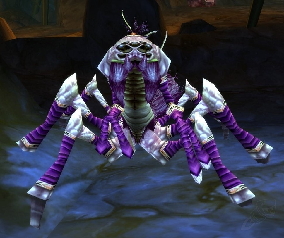 Crypt Slayer NPC World of Warcraft