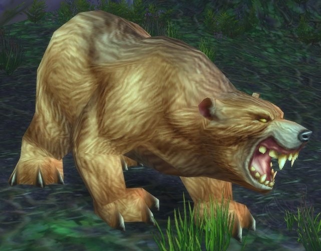 Giant Ashenvale Bear - NPC - World of Warcraft