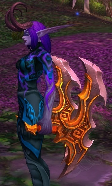 wow demon hunter customization