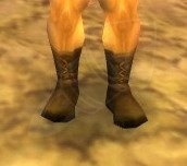 Worn Leather Boots - Item - World of Warcraft