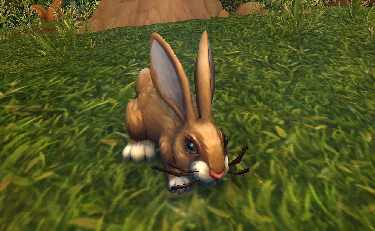 Lapin marron PNJ World of Warcraft