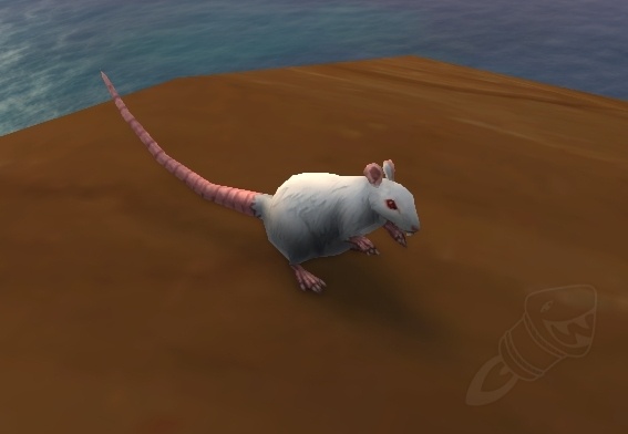 Rato Gigante de Esgoto - Item - WotLK Classic