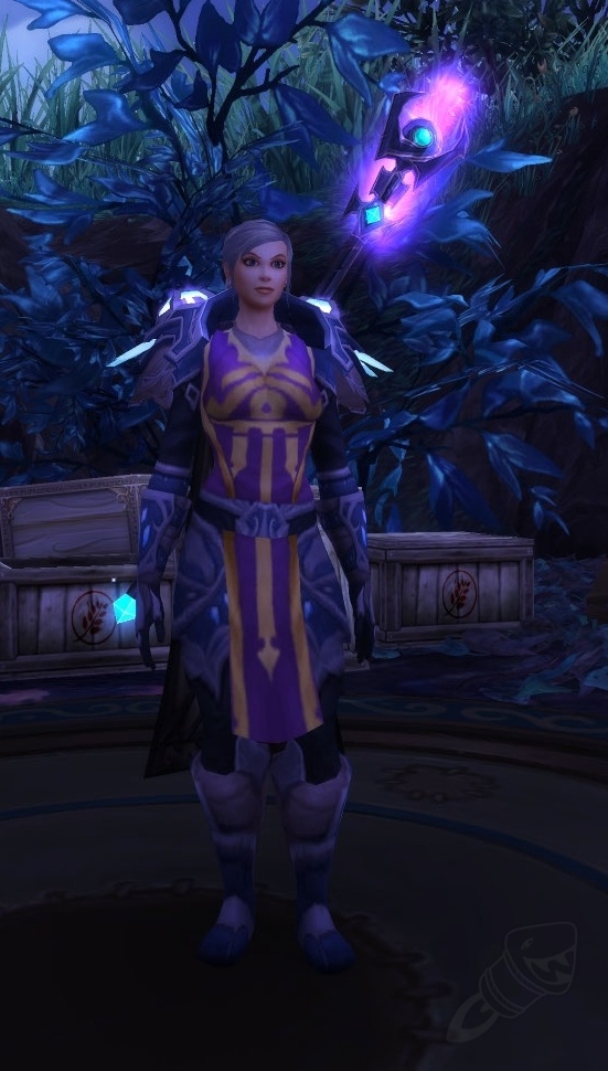 Archmage Modera Npc World Of Warcraft 