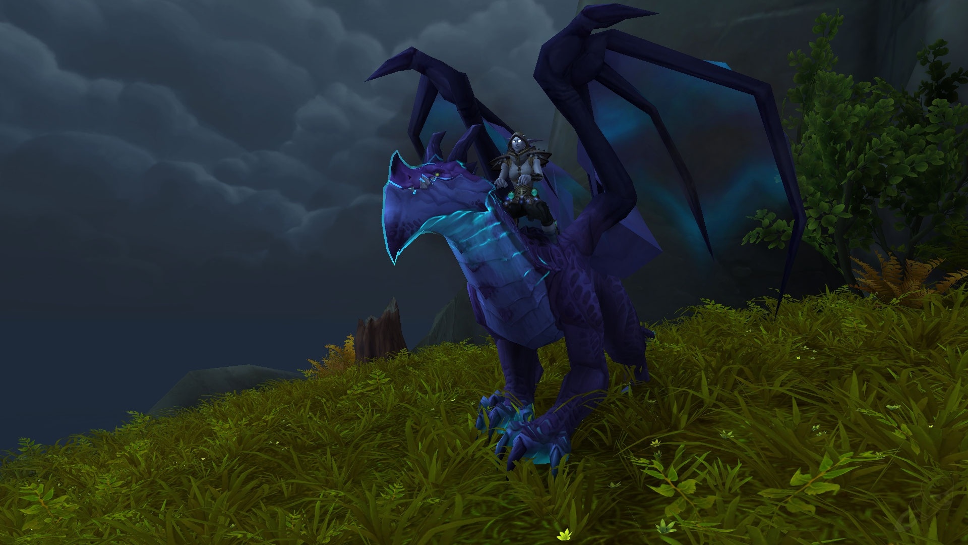 Erweckt Den Drachen Erweckt Den Drachen