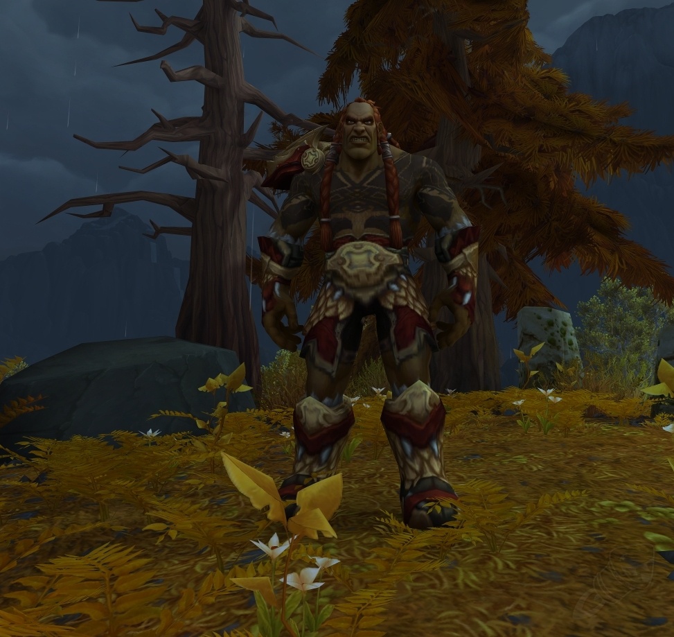 The Valarjar - Quest - World of Warcraft