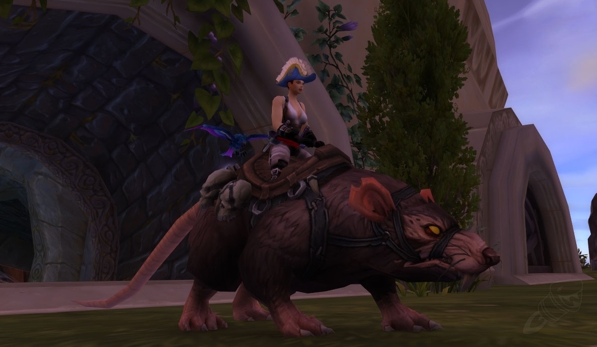 Rato Gigante de Esgoto - Item - WotLK Classic