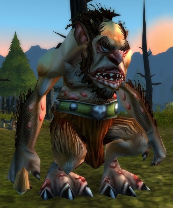 Stonesplinter Shaman Npc Classic World Of Warcraft