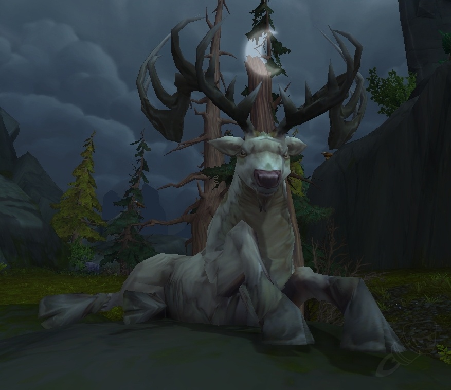 Starbuck NPC World of Warcraft