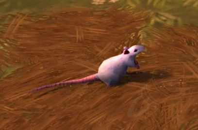 Fight Night: Rats! - Quest - World of Warcraft