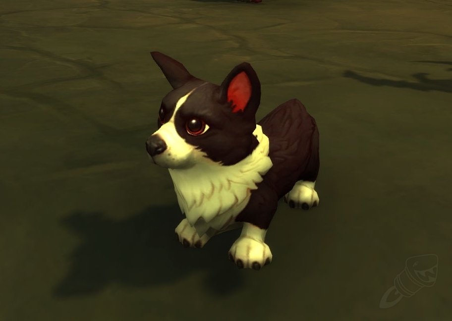 World of Warcraft Giving Away (In-Game) Corgi Puppies - IGN