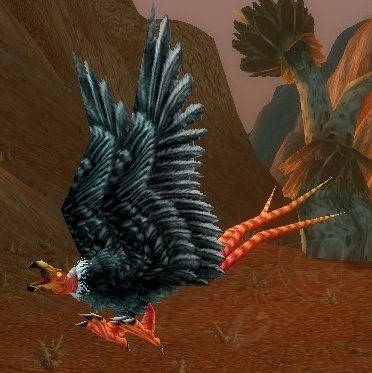 Águila ratonera hambriento - PNJ - World of Warcraft Clásico