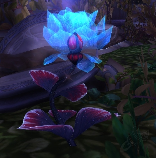 Poussière de rose lumétoile - Quête - World of Warcraft
