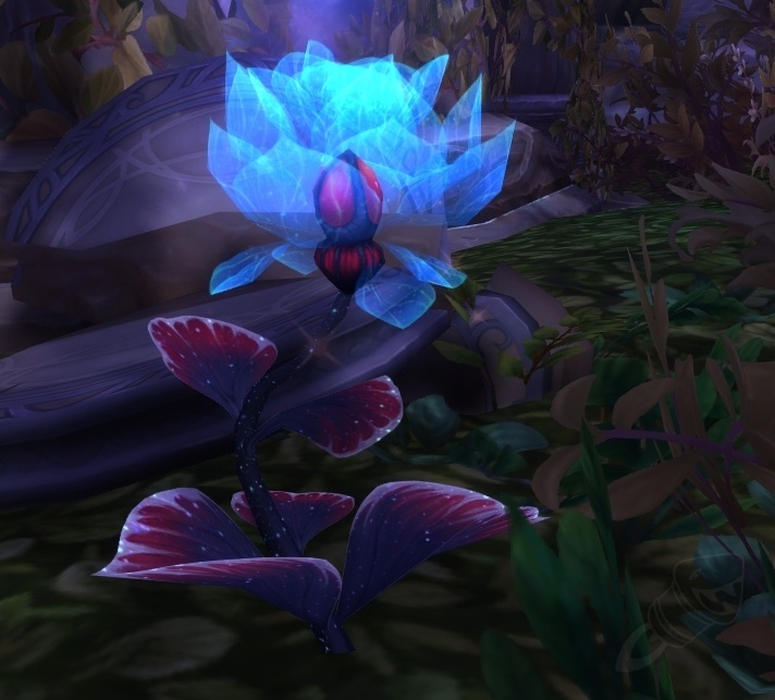 The Gentlest Touch Quest World of Warcraft