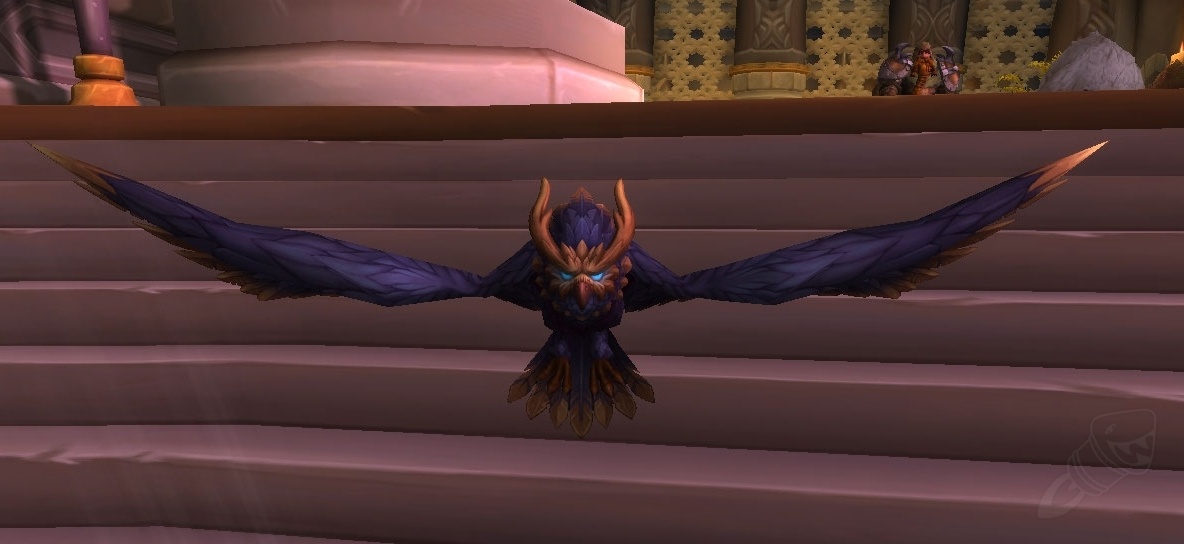 Fledgling warden owl item world of warcraft