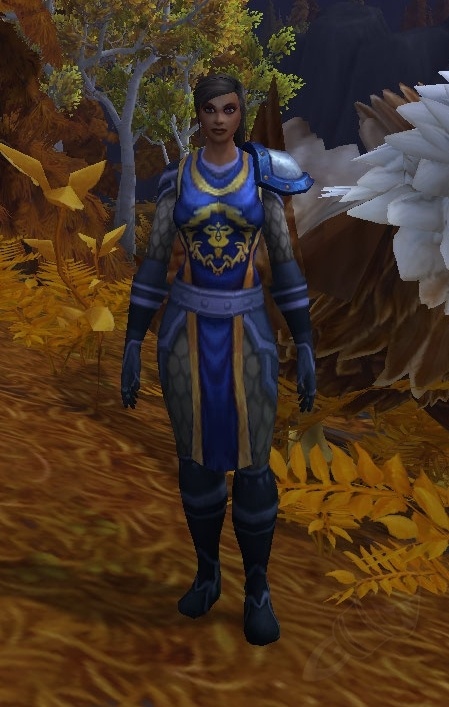 Ensign Ward - NPC - World of Warcraft