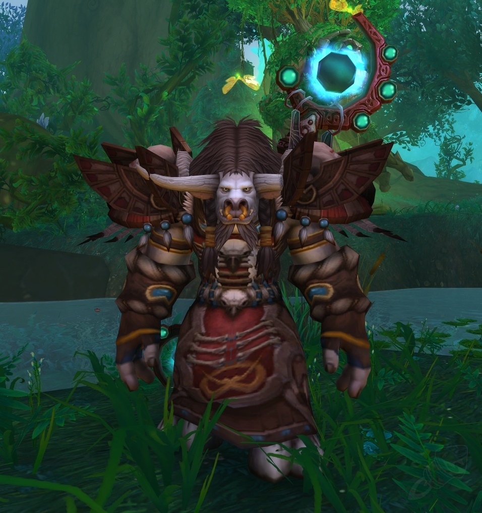 Archidruide Hamuul TotemRunique PNJ World of Warcraft